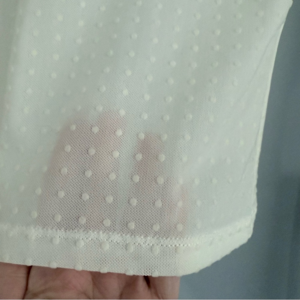 Frame The Mesh Polka Dot Top in Cream Off White S Sheer Cewneck Long Sleeve $278 - Picture 14 of 16